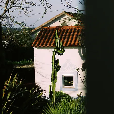 公寓 Casa Oliva