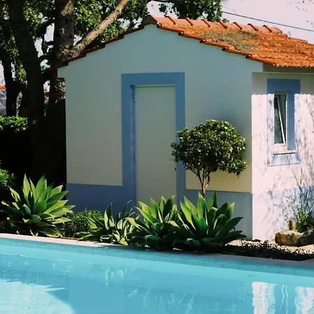 Casa Oliva 公寓